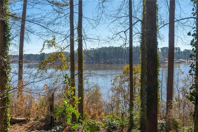 4249 Lakeview St, Acworth GA, 30101 land for sale