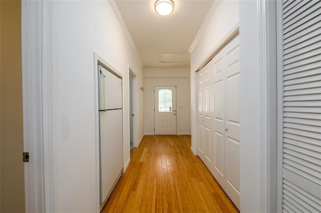 hallway featuring crown molding and light hardwood / wood-style flooring