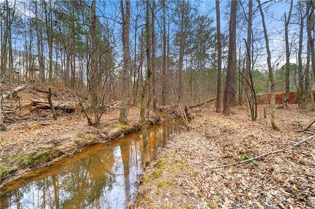 view of nature featuring a wooded view