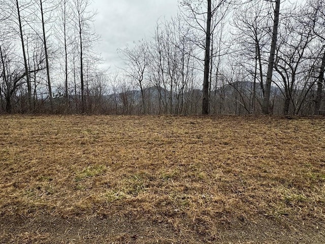 Listing photo 2 for LOT10 Chatuge Mnr, Young Harris GA 30582