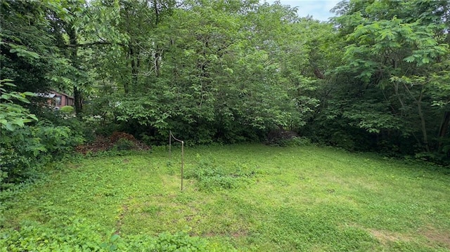 view of grassy yard with a view of trees