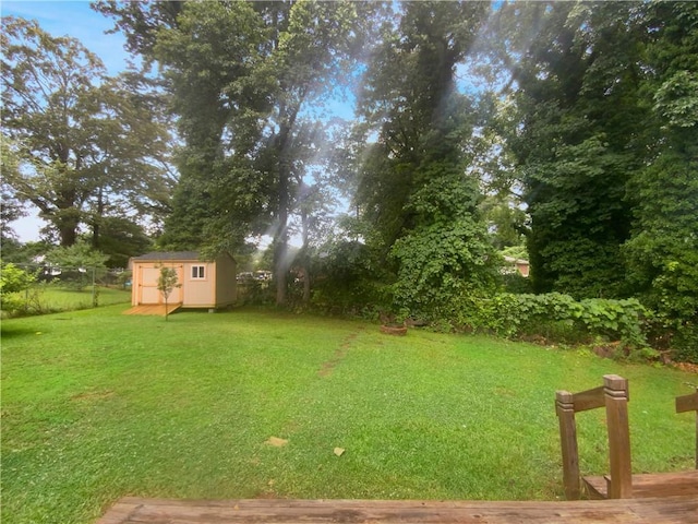 view of yard with a shed