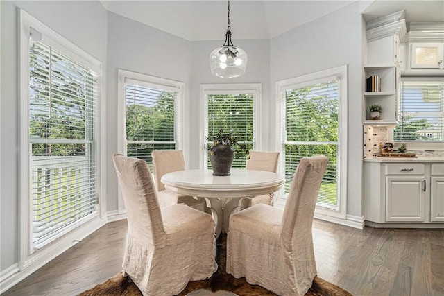 dining area featuring dark wood-type flooring, plenty of natural light, and baseboards
