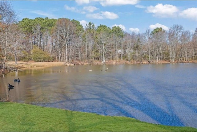 water view featuring a forest