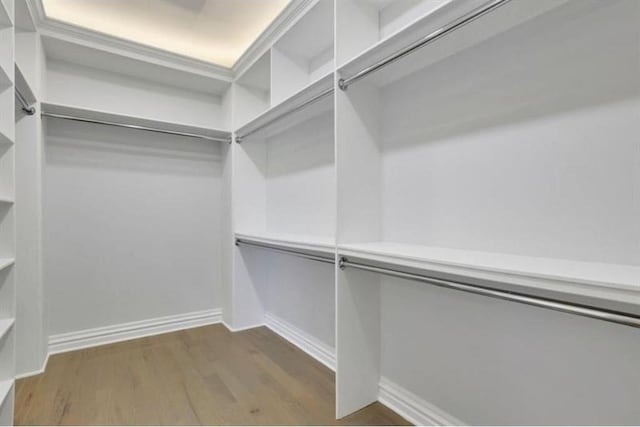 walk in closet with wood finished floors