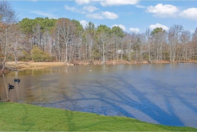 view of water feature with a wooded view