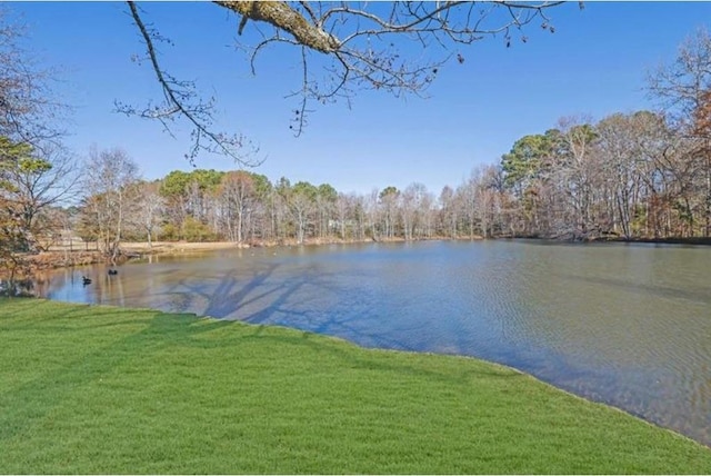 water view featuring a forest