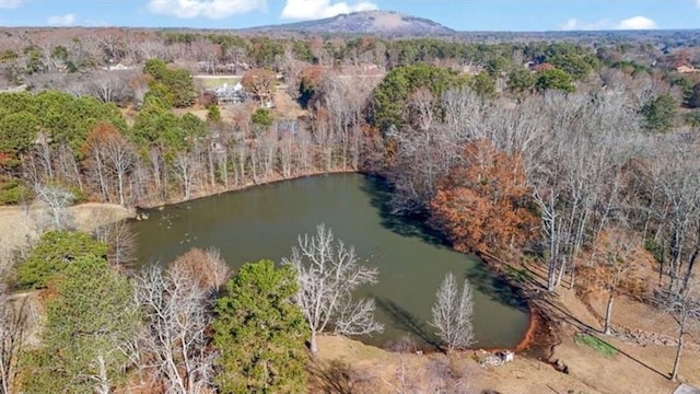 bird's eye view with a view of trees and a water and mountain view