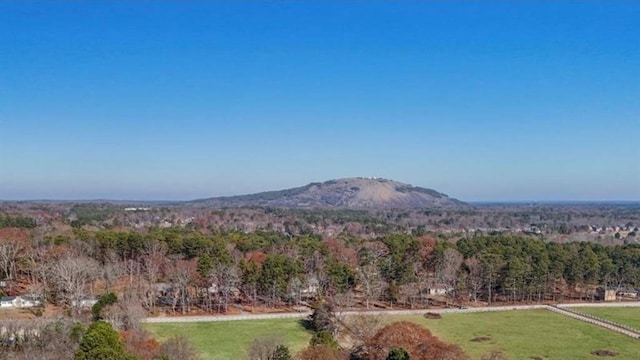 mountain view featuring a forest view