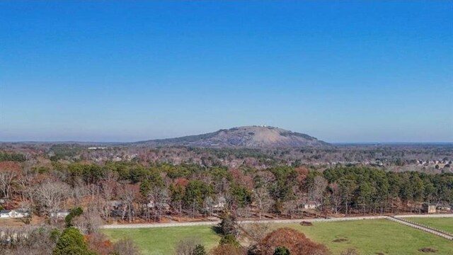view of mountain backdrop featuring a heavily wooded area