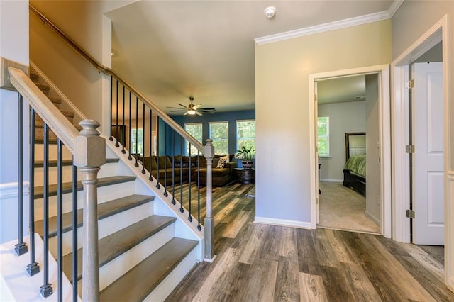 stairway with ceiling fan, hardwood / wood-style flooring, and crown molding