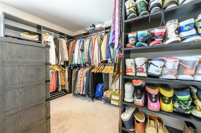 walk in closet with light carpet