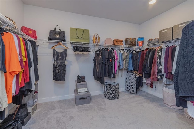 walk in closet featuring carpet flooring