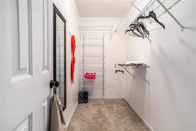 spacious closet with light carpet