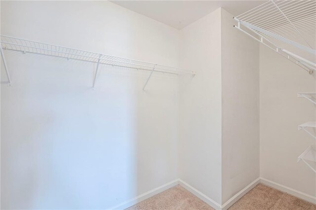 1003 Eldon Ln, Fairburn, GA 30213 - spacious closet featuring carpet flooring