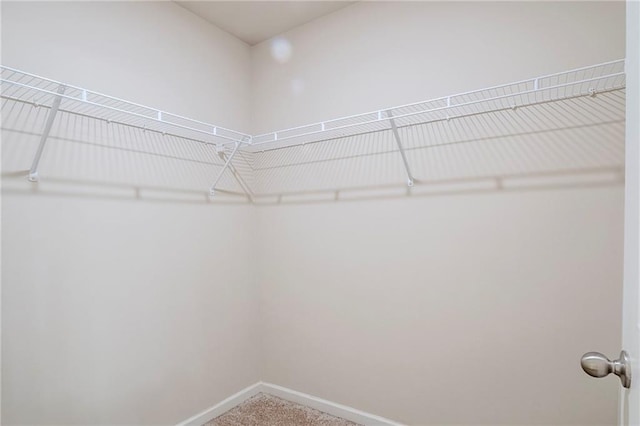 235 Orchard Dr, Covington, GA 30014 - spacious closet with carpet flooring