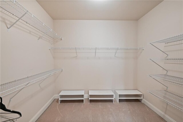 403 Pebblebrooke Ln, Canton, GA 30115 - spacious closet with carpet flooring