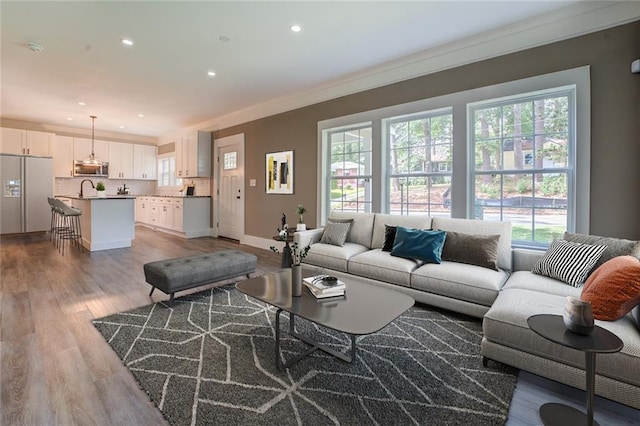 living room featuring sink, ornamental molding, and light hardwood / wood-style floors