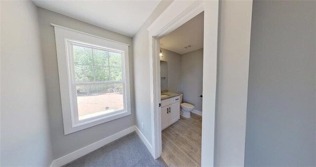 bathroom featuring hardwood / wood-style floors, vanity, and toilet