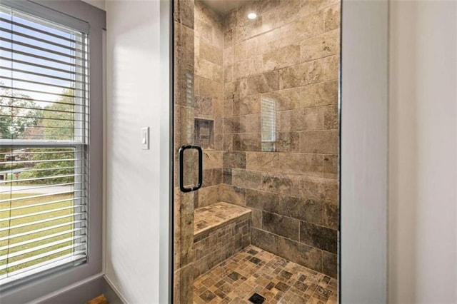 bathroom with a shower with shower door and plenty of natural light