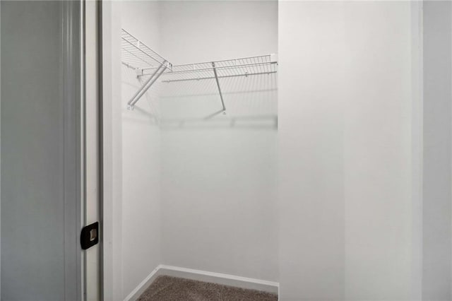 spacious closet with carpet floors