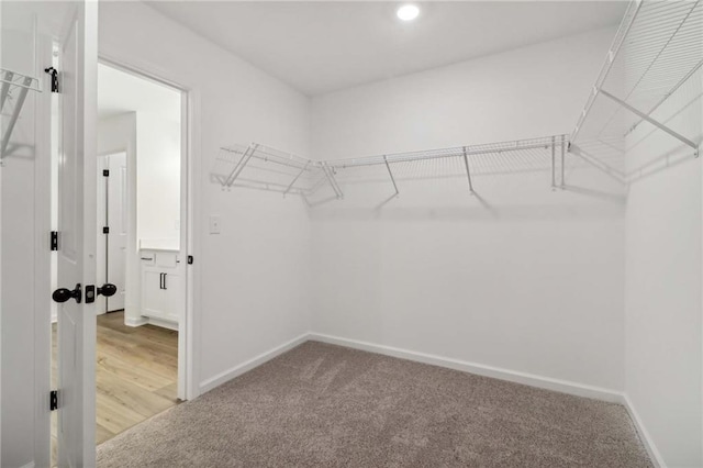 spacious closet featuring carpet flooring