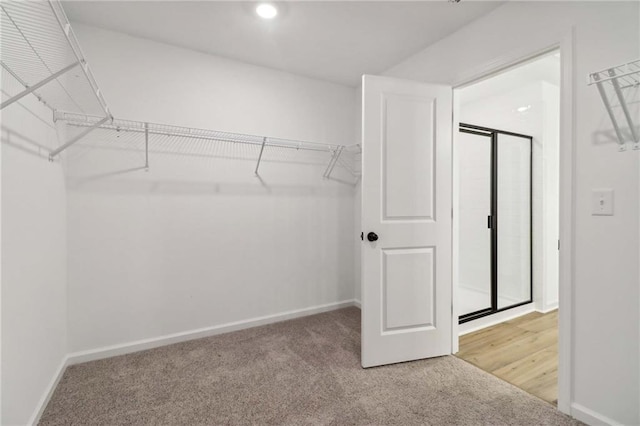 spacious closet with carpet