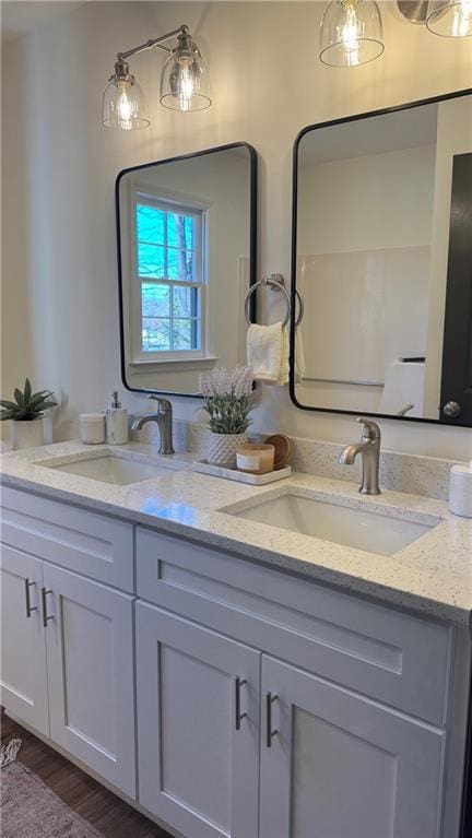 bathroom featuring a sink, wood finished floors, and double vanity