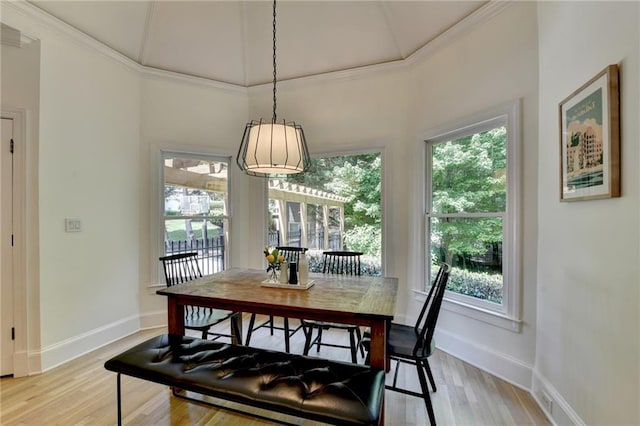 7920 Tintern Trce, Duluth, GA 30097 - dining area with light wood-type flooring, ornamental molding, and baseboards