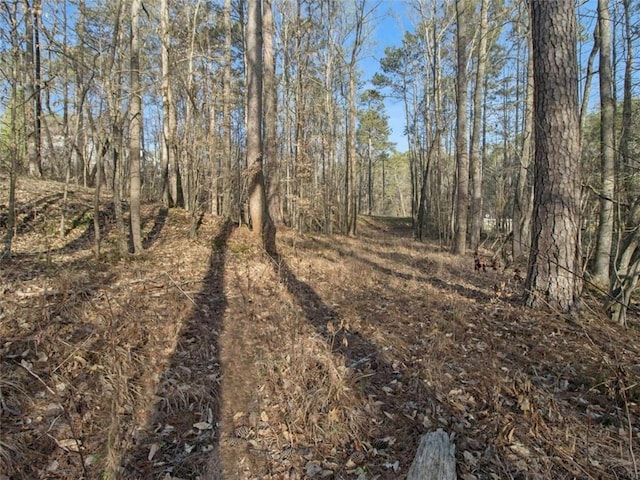 4155 Prestley Mill Rd, Douglasville, GA 30135