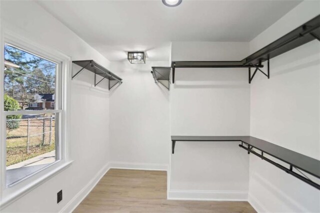 spacious closet featuring light wood finished floors