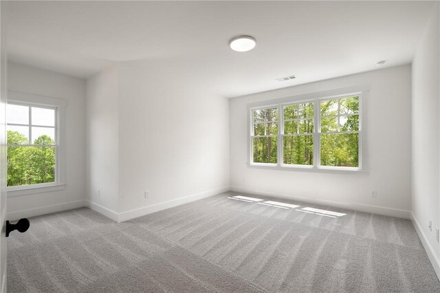 326 Reese Way, Ball Ground, GA 30107 - spare room featuring healthy amount of natural light, baseboards, and carpet flooring