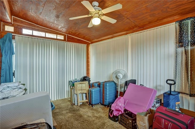 storage room featuring ceiling fan