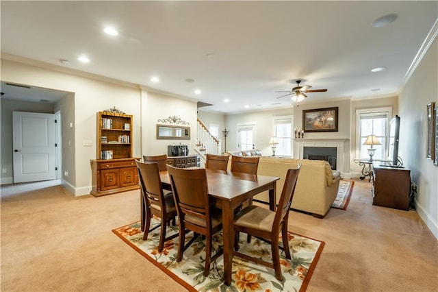 dining area featuring ceiling fan, ornamental molding, and light carpet