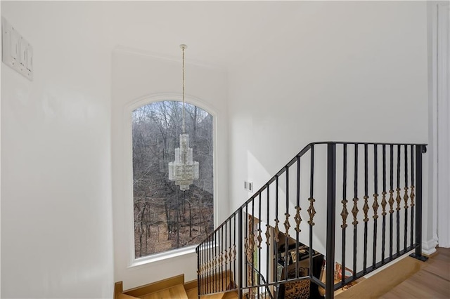 staircase featuring wood-type flooring and an inviting chandelier