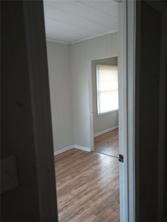 unfurnished room featuring ornamental molding and light hardwood / wood-style floors