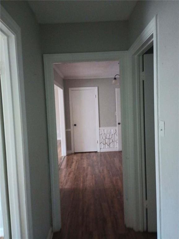 hallway featuring dark hardwood / wood-style flooring