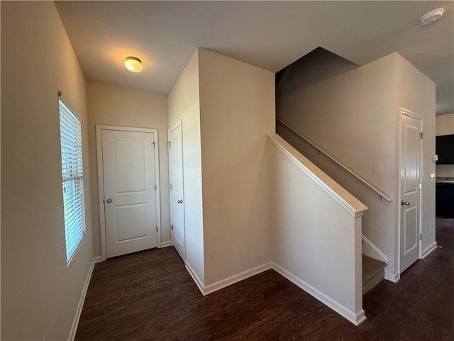 837 Castilla Way, Winder, GA 30680 - hall featuring baseboards and wood finished floors