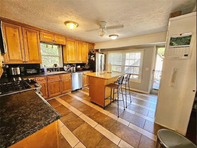 kitchen featuring ceiling fan, a wealth of natural light, a center island, and stainless steel appliances