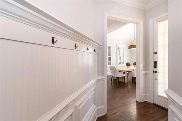 mudroom featuring wainscoting, dark wood-style floors, and crown molding