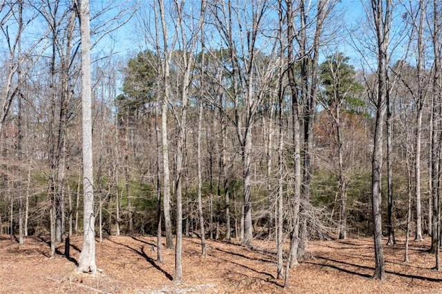 view of tree filled area