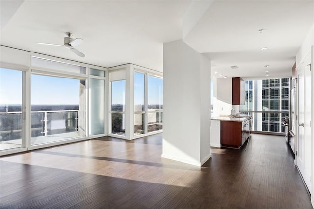 unfurnished living room featuring floor to ceiling windows, dark hardwood / wood-style floors, sink, and a wealth of natural light