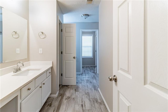 249 Bainbridge Cir, Dallas, GA 30132 - bathroom featuring vanity, wood finished floors, baseboards, and a textured ceiling