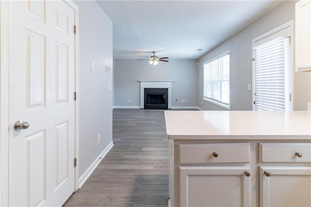 249 Bainbridge Cir, Dallas, GA 30132 - kitchen with a fireplace with flush hearth, light wood-type flooring, light countertops, a textured ceiling, and a ceiling fan