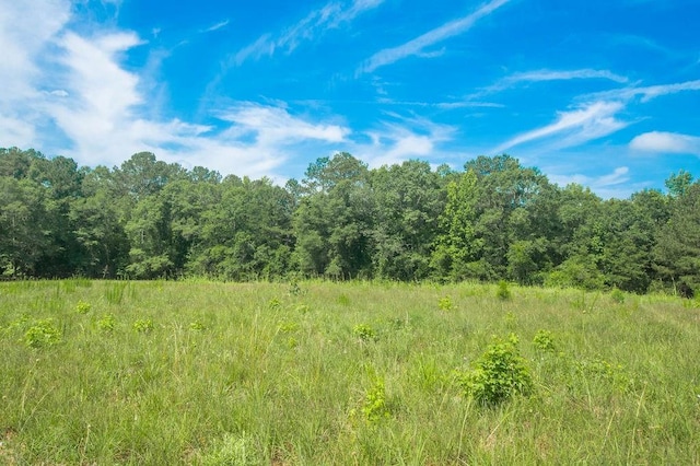1145 Thurston Snow Rd, Good Hope, GA 30641 - view of wooded area