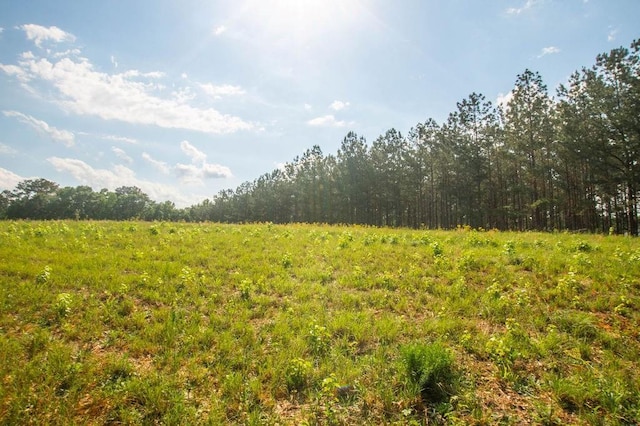 1145 Thurston Snow Rd, Good Hope, GA 30641 - view of woods