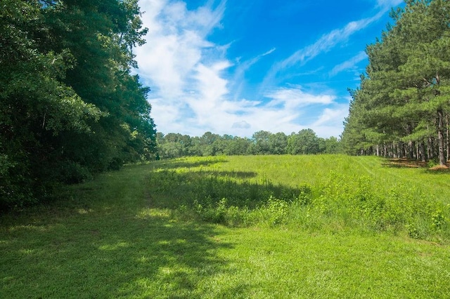 1145 Thurston Snow Rd, Good Hope, GA 30641 - view of woods
