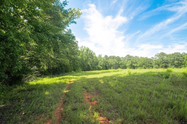 1145 Thurston Snow Rd, Good Hope, GA 30641 - view of woods