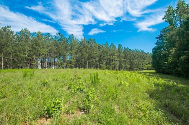 1145 Thurston Snow Rd, Good Hope, GA 30641 - view of tree filled area
