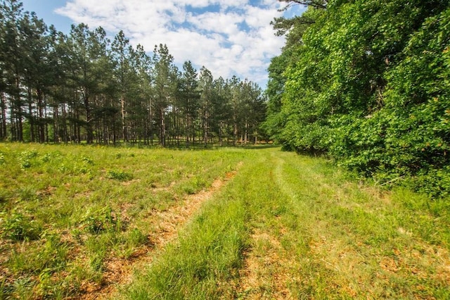 1145 Thurston Snow Rd, Good Hope, GA 30641 - view of yard featuring a forest view